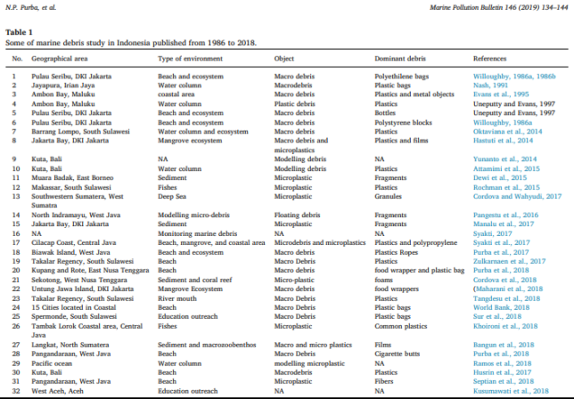 marine debris in Indonesia