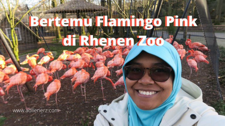 kebun binatang rhenen belanda